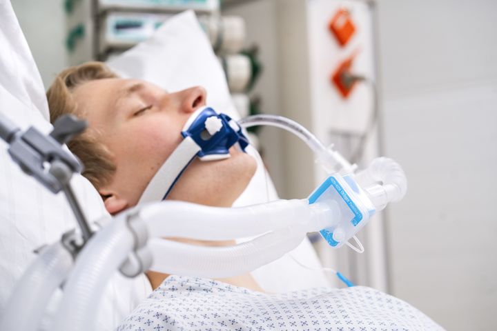 Dräger Infinity ID Breathing Circuit Basic, Adult, 1.8 m